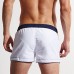 Summer Men's Casual Beach Shorts Slim Fit Breathable Elastic Drawstring Sports Shorts Summer Men's Casual Beach Shorts Slim Fit Breathable Elastic Drawstring Sports Shorts